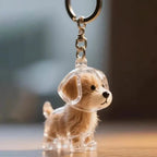 Adorable Cat Hair Storage Pendant Keychain Transparent Cat/Dog Hair Storage Container for Pet Lover DIY Pet Memorial Keychain