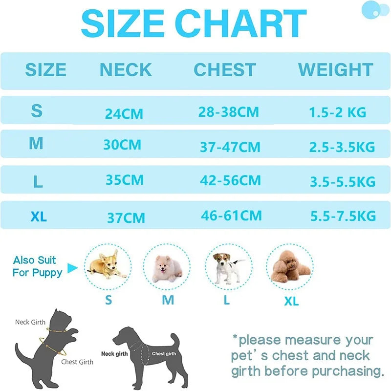 Cat Harness and Leash