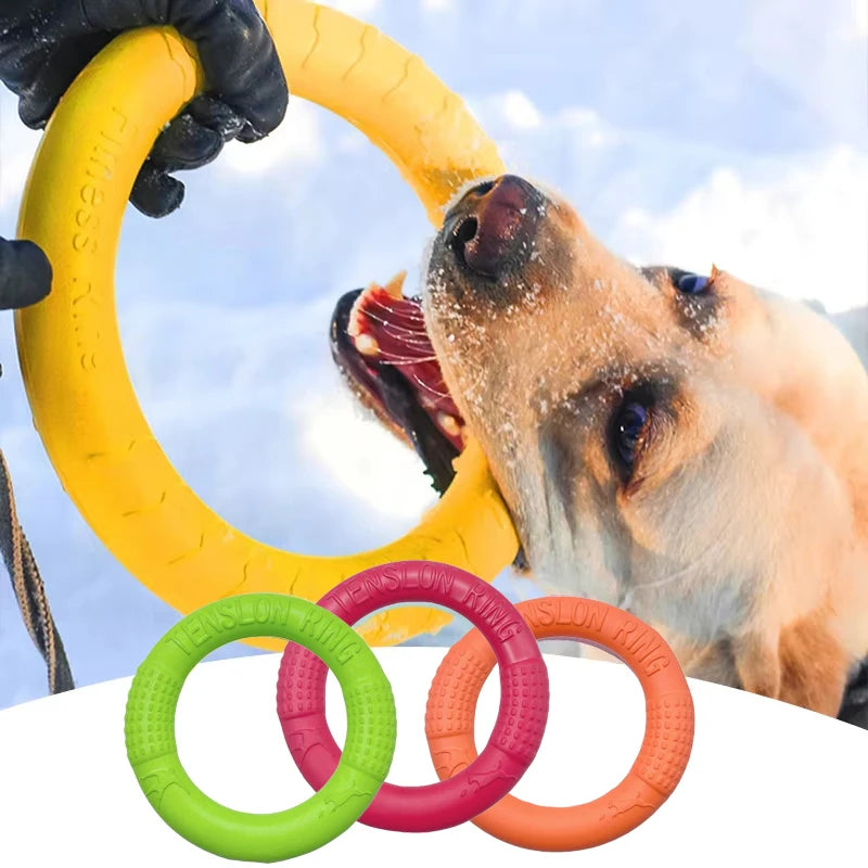 Dog Training Ring – Rubber Flying Disc Toy