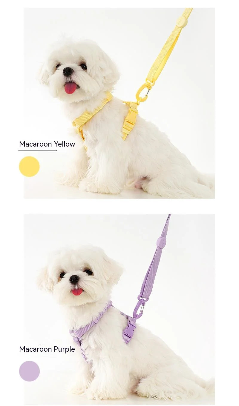 Dog Harness and Leash Set