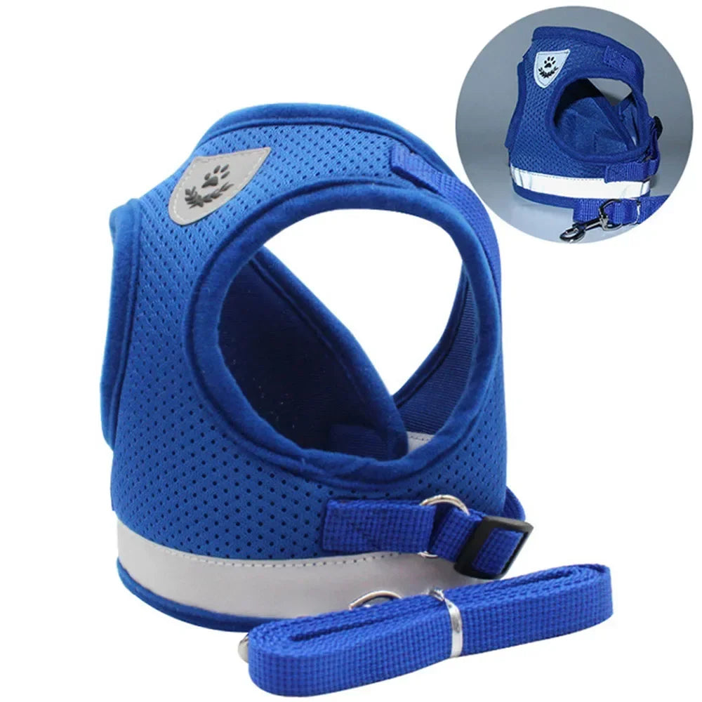 Cat Harness and Leash Set
