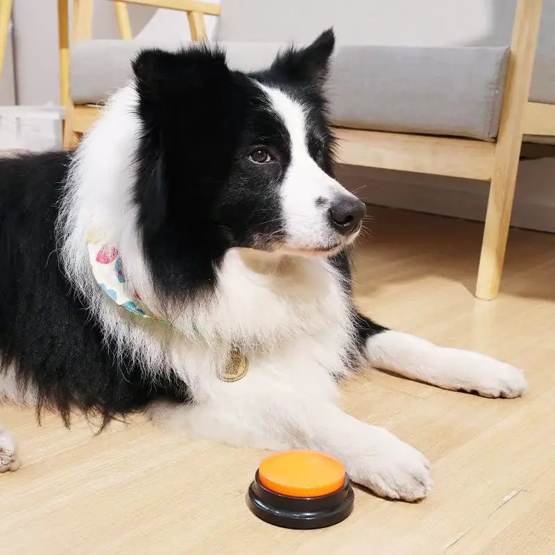 Dog Communication Buttons Voice Recording Button for Pet Training Buzzer 30 Second Record Playback Funny Gift for Talking