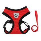 Cat Harness and Leash