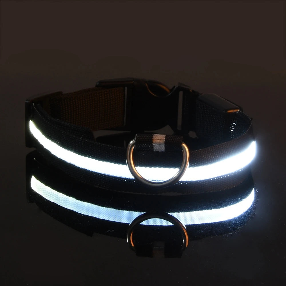 LED Dog Leash, Light-Up Nylon Safety Leash for Night Walking