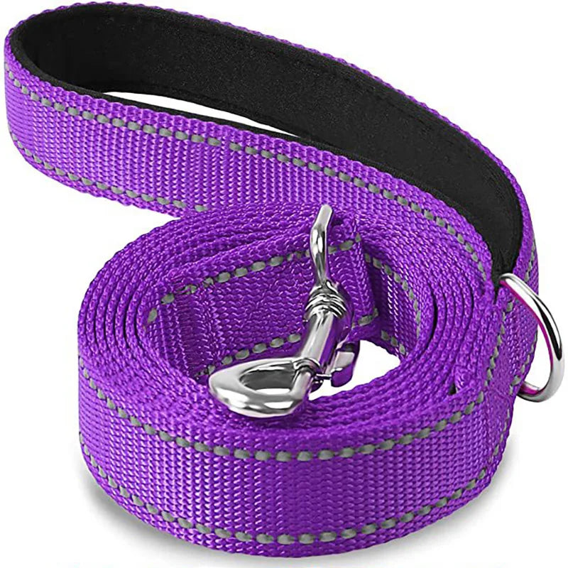 Reflective Dog Leash, Nylon Walking and Training Lead for Night