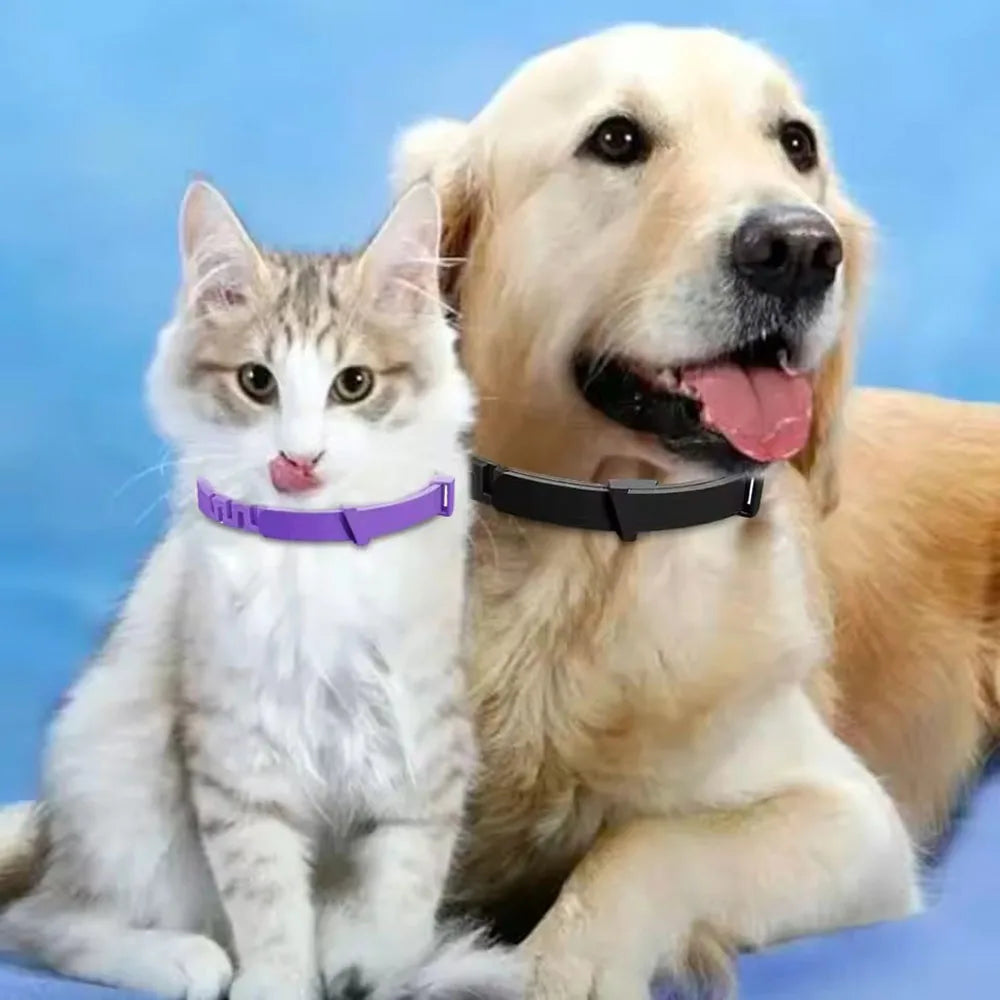 Breakaway Dog Collar – Adjustable Slip-On Collar for All Seasons