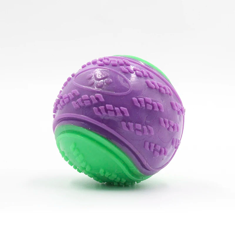 Squeaky Dog Ball – Interactive TPR Teeth Cleaning Toy