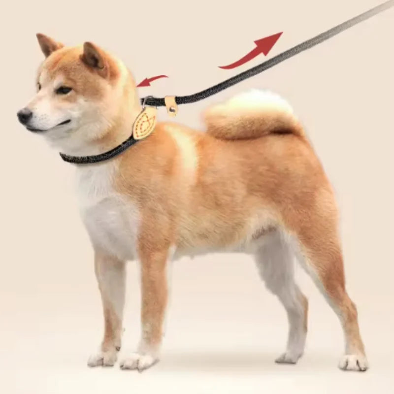 Slip Rope Dog Leash – Adjustable Nylon Lead