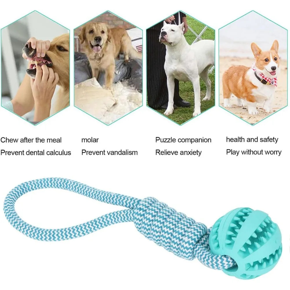 Dog Chew Ball – Rubber Teeth Cleaning Toy for Dogs