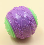 Squeaky Dog Ball – Interactive TPR Teeth Cleaning Toy