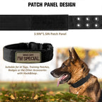 Adjustable Dog Collar – Nylon Working Collar with Metal D-Ring