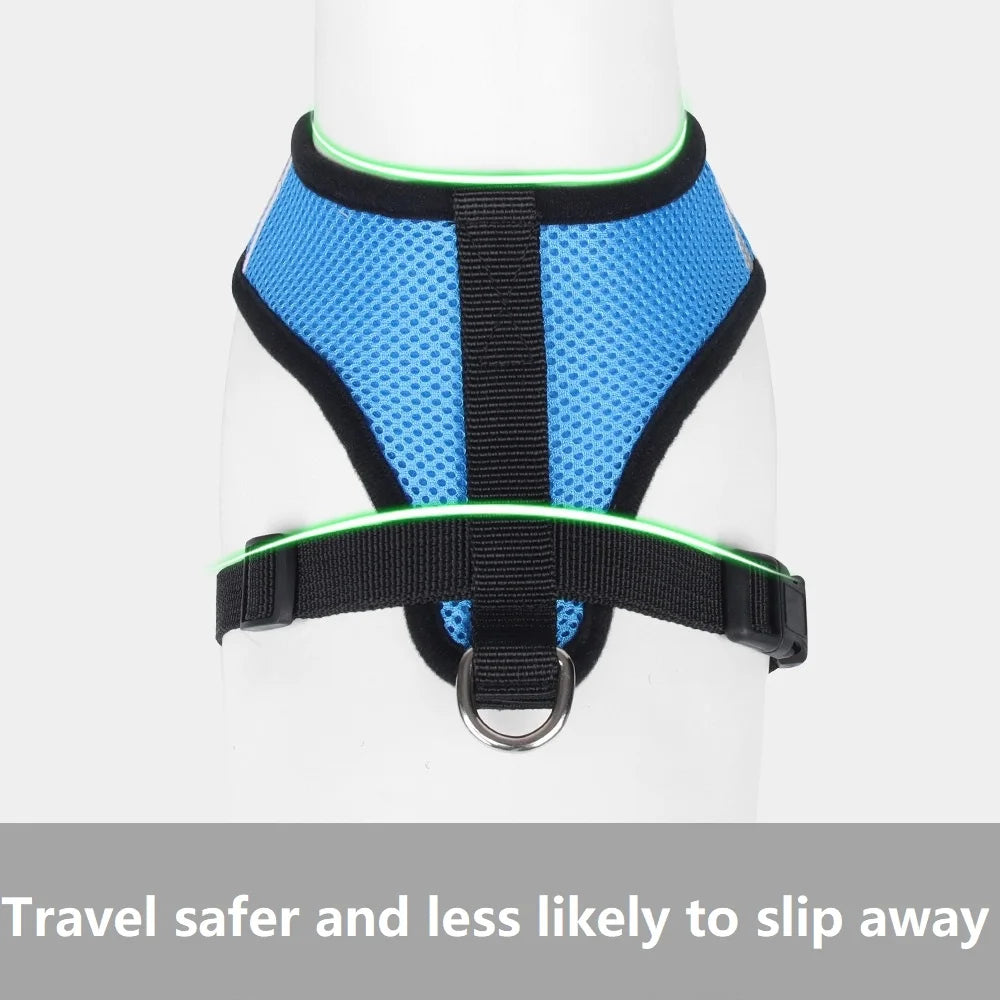Cat Harness and Leash
