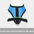 Cat Harness and Leash