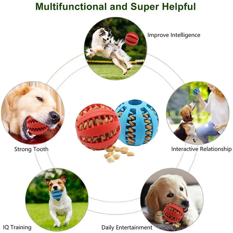 Dog Treat Ball – Rubber Chew & Teeth Cleaning Toy