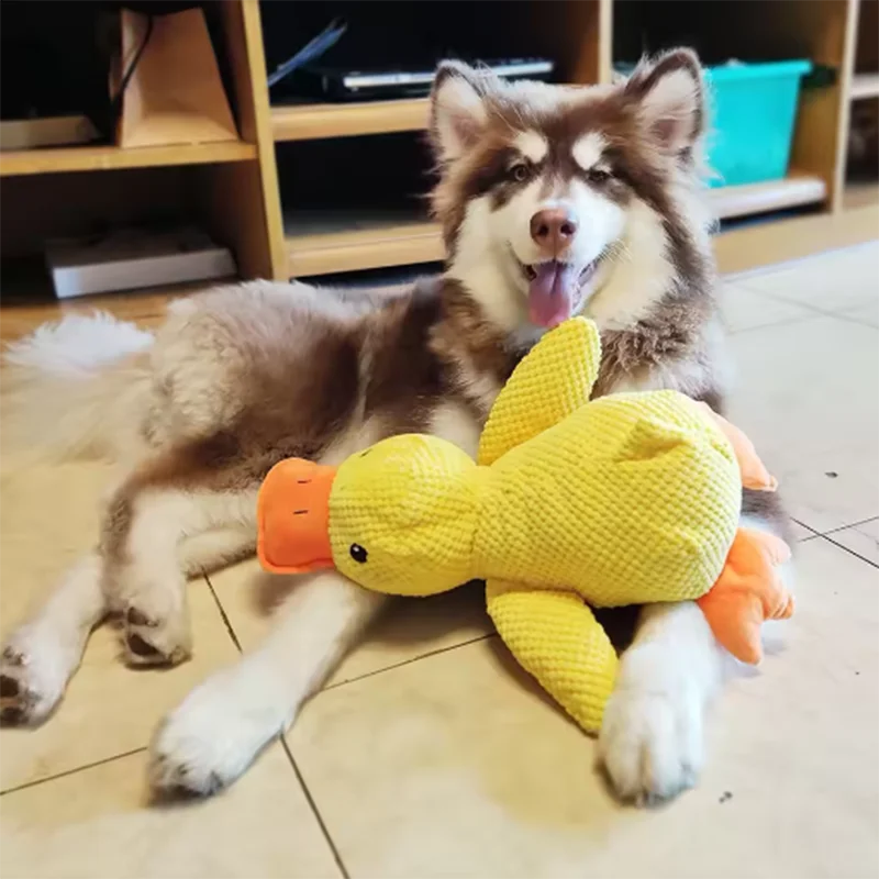 Interactive Dog Toy – Duck Plush Chew & Teeth Cleaning Toy