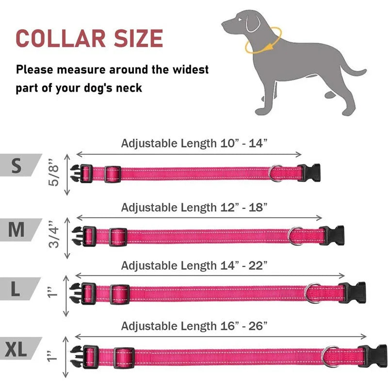 Reflective Dog Collar Adjustable Nylon Safety Collar for Small Dogs