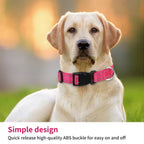 Reflective Dog Collar, Adjustable Nylon Safety Collar for Small & Medium Dogs