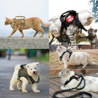 Cat Harness, Adjustable Soft Mesh Vest with Control Handle