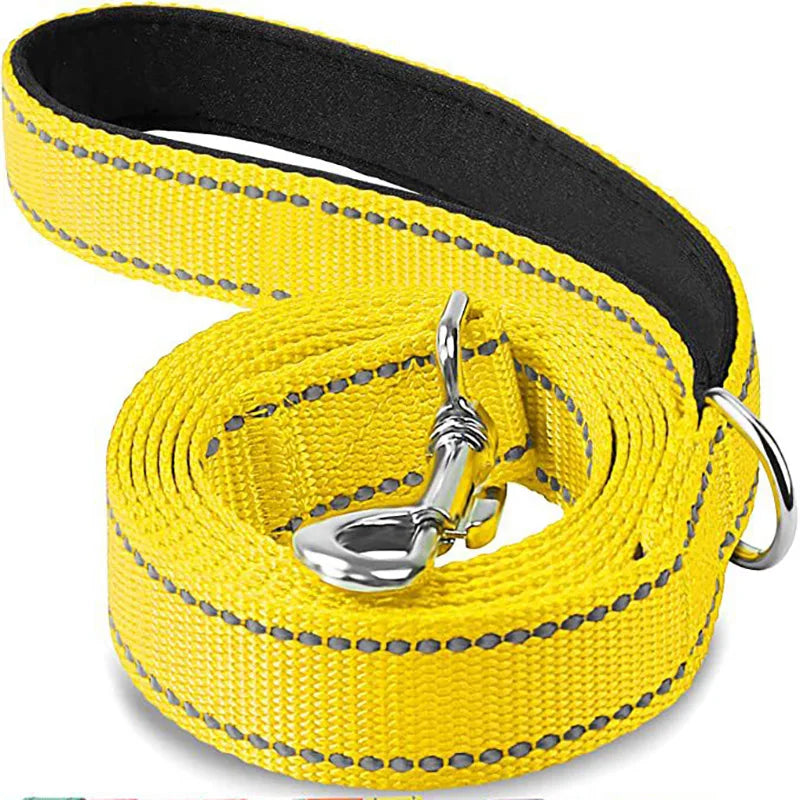 Reflective Dog Leash, Nylon Walking and Training Lead for Night