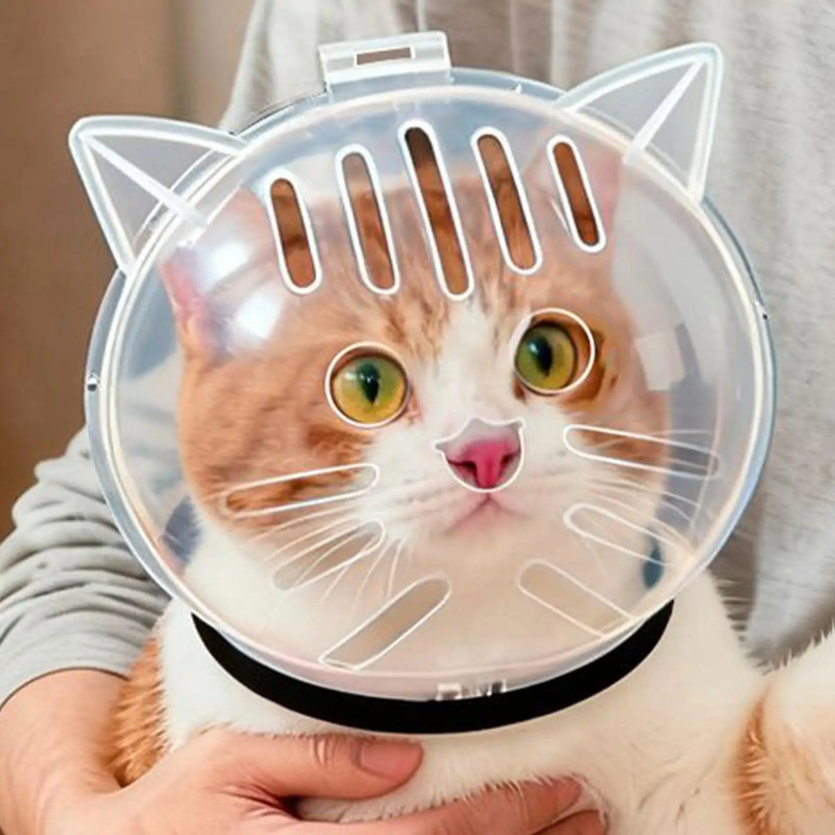 Cat Muzzle – Breathable Transparent Muzzle for Grooming