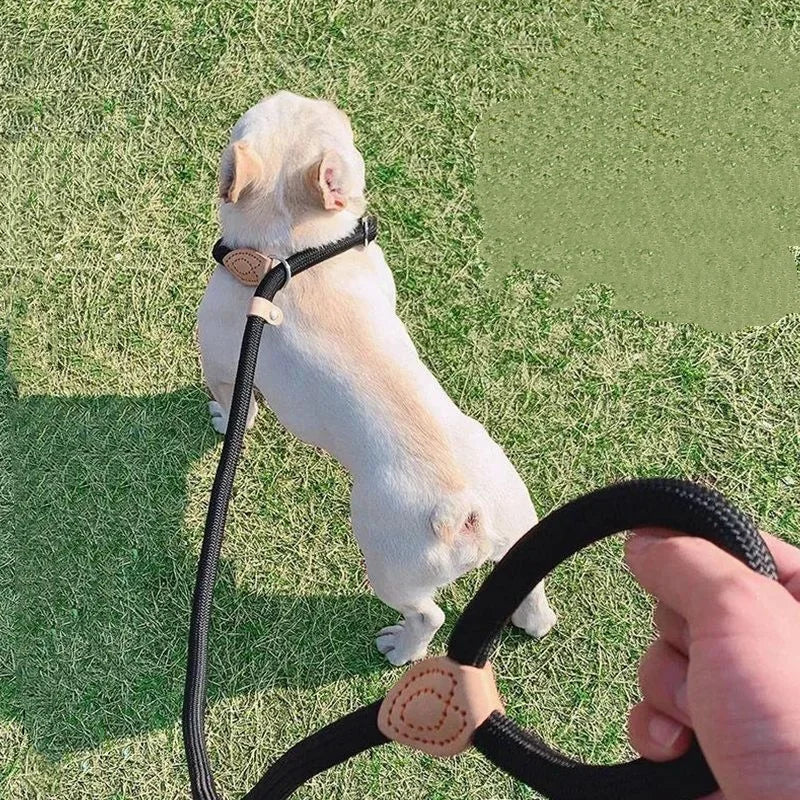 Slip Rope Dog Leash – Adjustable Nylon Lead