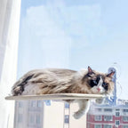 Cat Window Hammock – Foldable Suction Cup Hanging Cat Bed