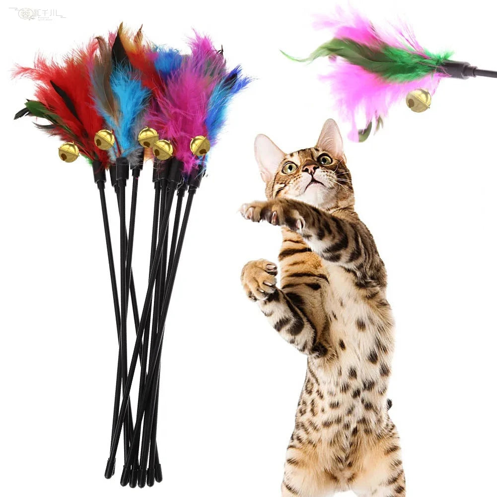 Cat Wand Toy – 5 Pack Colorful Feather Interactive Teaser