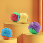 Squeaky Dog Ball – Interactive TPR Teeth Cleaning Toy