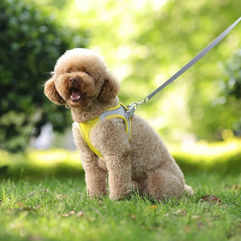Small Dog Harness – Adjustable Reflective Vest with 1.5m Leash