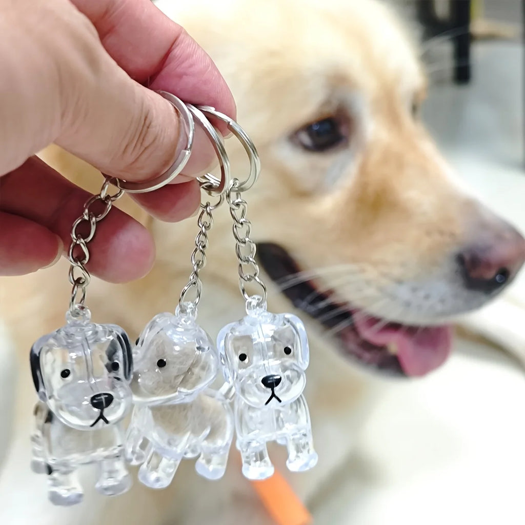 Adorable Cat Hair Storage Pendant Keychain Transparent Cat/Dog Hair Storage Container for Pet Lover DIY Pet Memorial Keychain