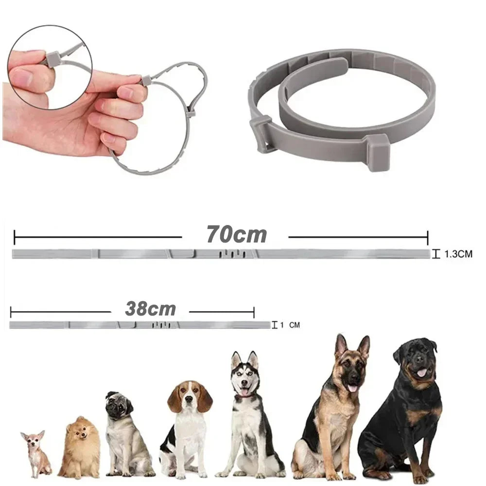 Adjustable Dog Collar, Waterproof Breakaway Collar for Puppies