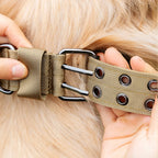 Adjustable Dog Collar – Nylon Working Collar with Metal D-Ring