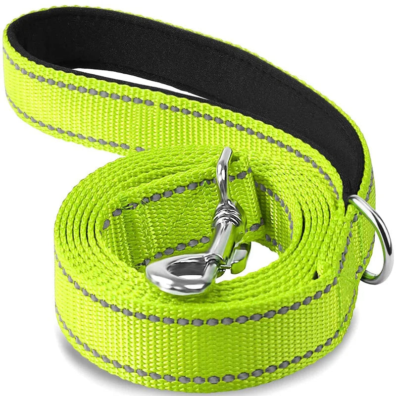Reflective Dog Leash, Nylon Walking and Training Lead for Night