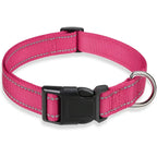 Adjustable Dog Collar, Soft Padded Nylon Collar with Buckle