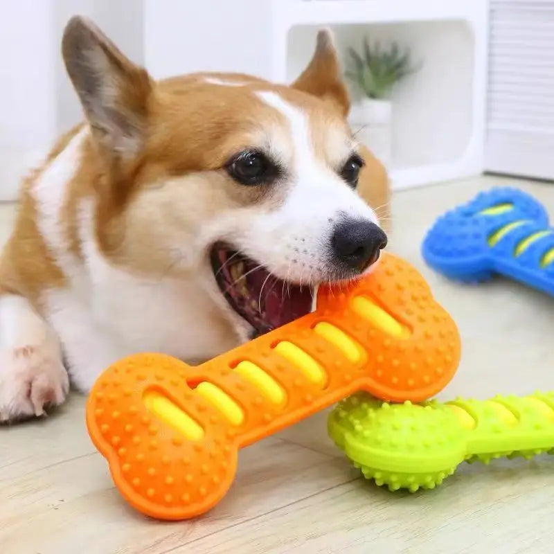 Dog Chew Toy Rubber Bone Squeaky Puppy Interactive Toy for Playtime