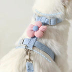 Cat Harness and Leash Set – Adjustable Breathable Vest