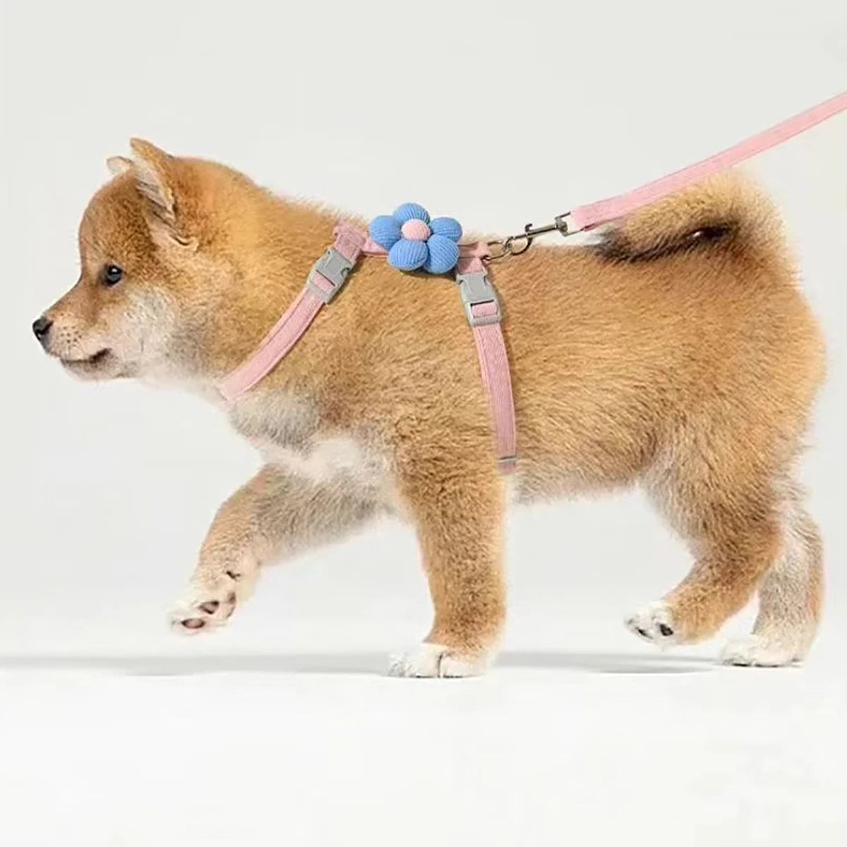 Cat Harness and Leash Set Adjustable Breathable Kitten Harness