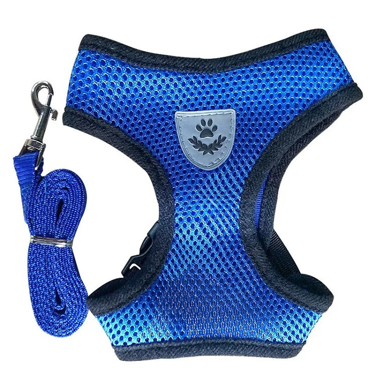 Cat Harness and Leash