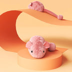 Interactive Cat Toy Mouse – Plush Squeaky Toy