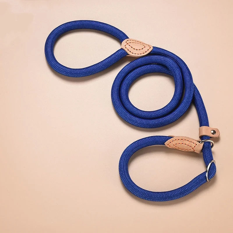 Slip Rope Dog Leash – Adjustable Nylon Lead