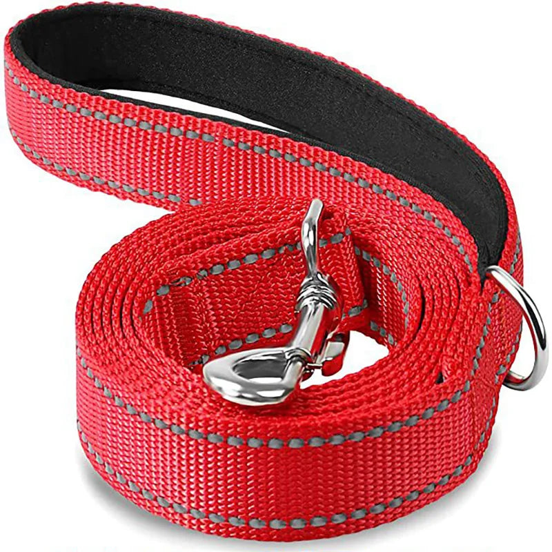 Reflective Dog Leash, Nylon Walking and Training Lead for Night