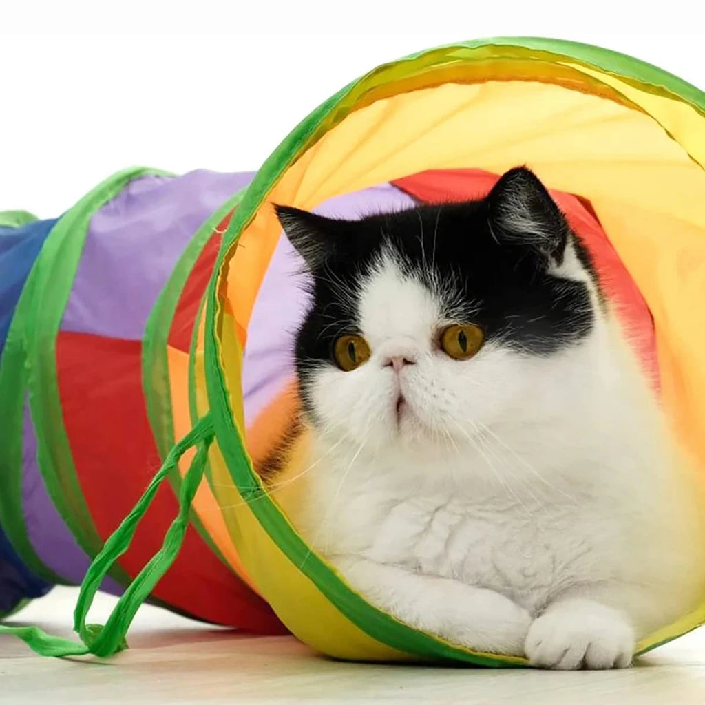 Cat Tunnel Foldable Cloth Interactive Play Toy for Kittens