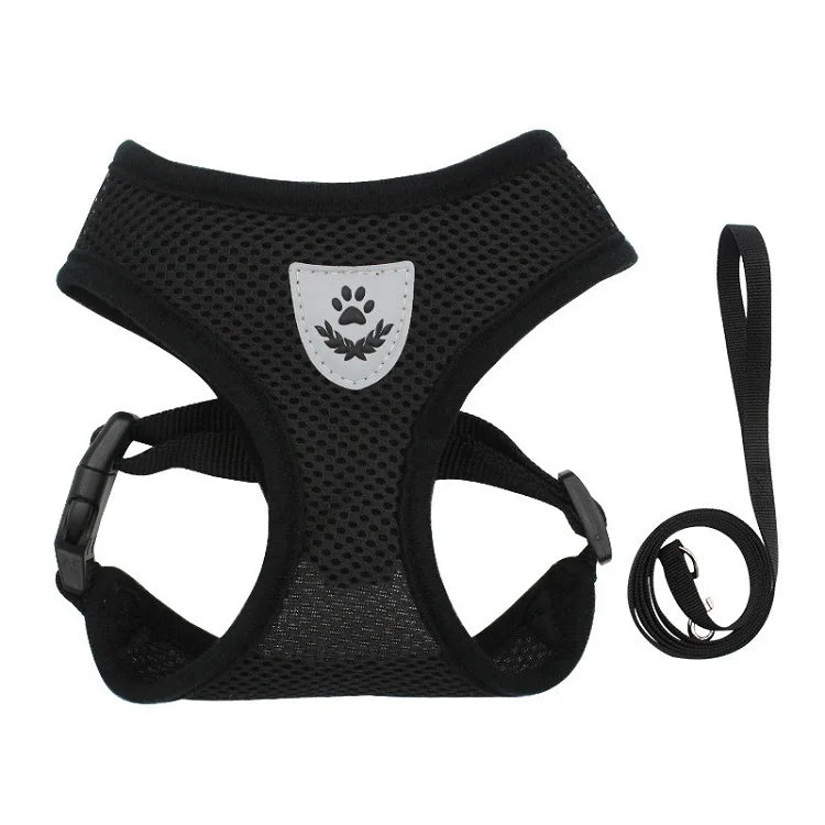 Cat Harness and Leash