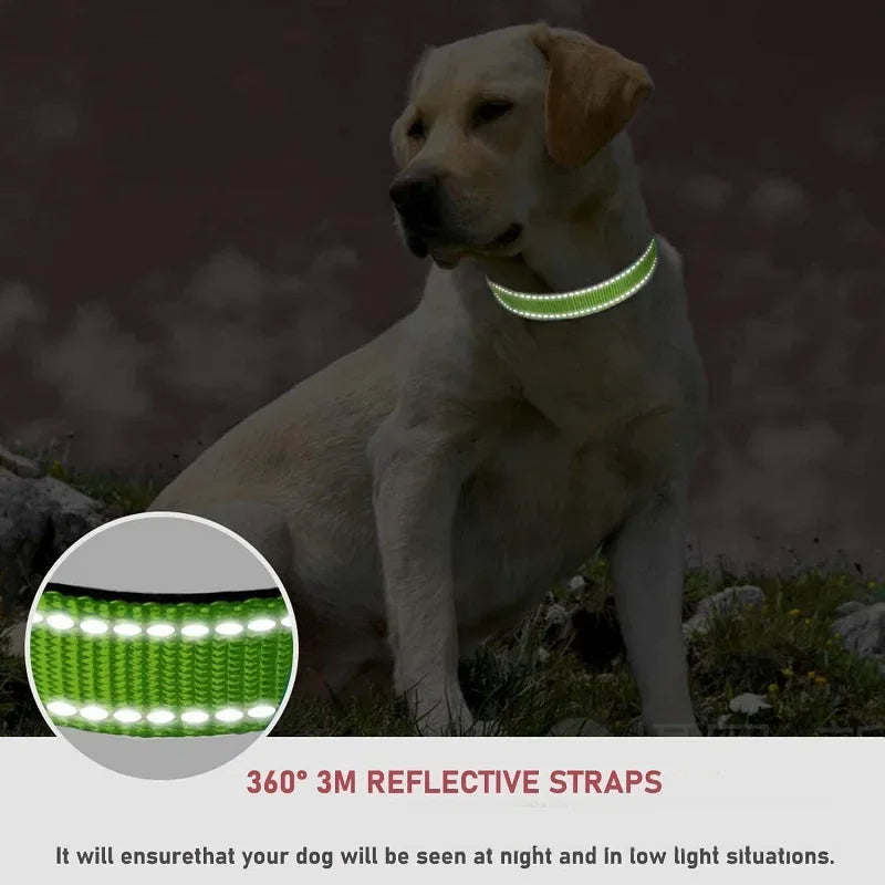 Reflective Dog Collar Adjustable Nylon Safety Collar for Small & Medium Dogs