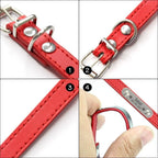 Personalized Dog Collar – Engraved Leather Pet ID Collar