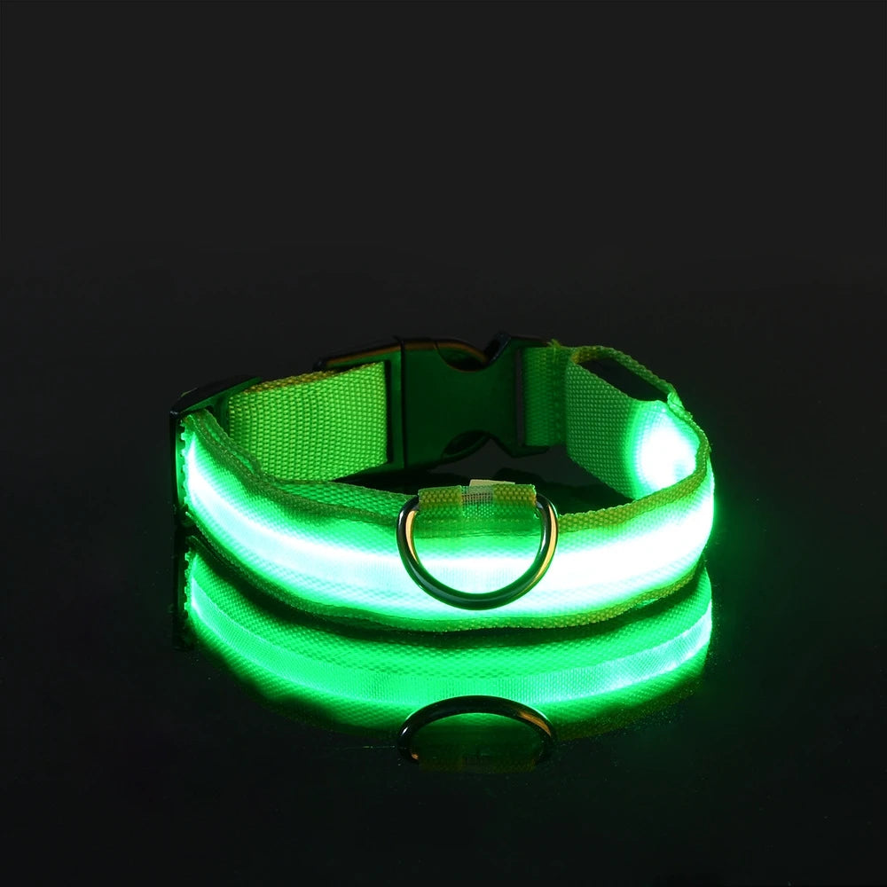 LED Dog Leash, Light-Up Nylon Safety Leash for Night Walking