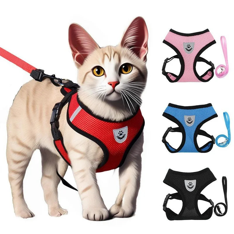 Cat Harness and Leash