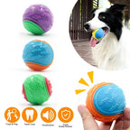 Squeaky Dog Ball – Interactive TPR Teeth Cleaning Toy
