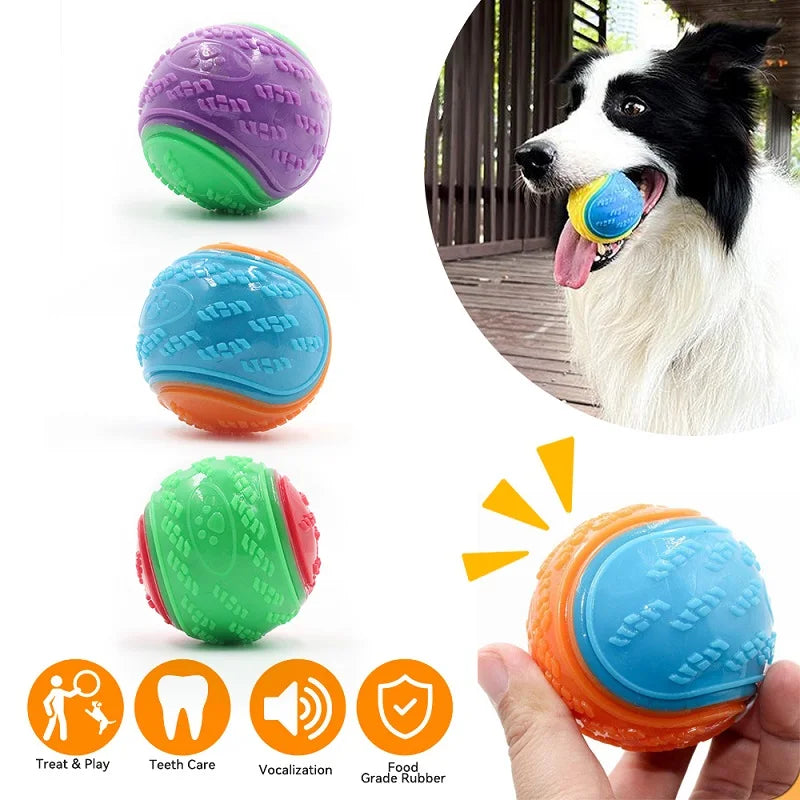 Squeaky Dog Ball – Interactive TPR Teeth Cleaning Toy