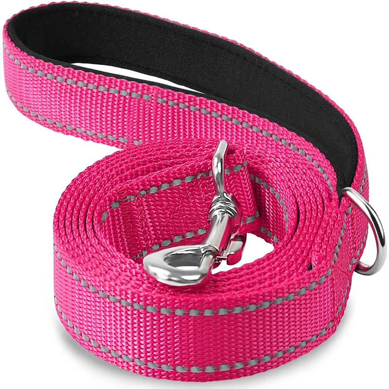Reflective Dog Leash, Nylon Walking and Training Lead for Night